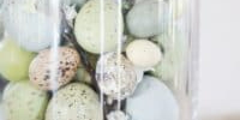 Spring easter