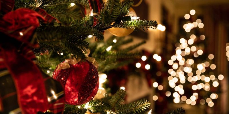 A christmas tree with lights
